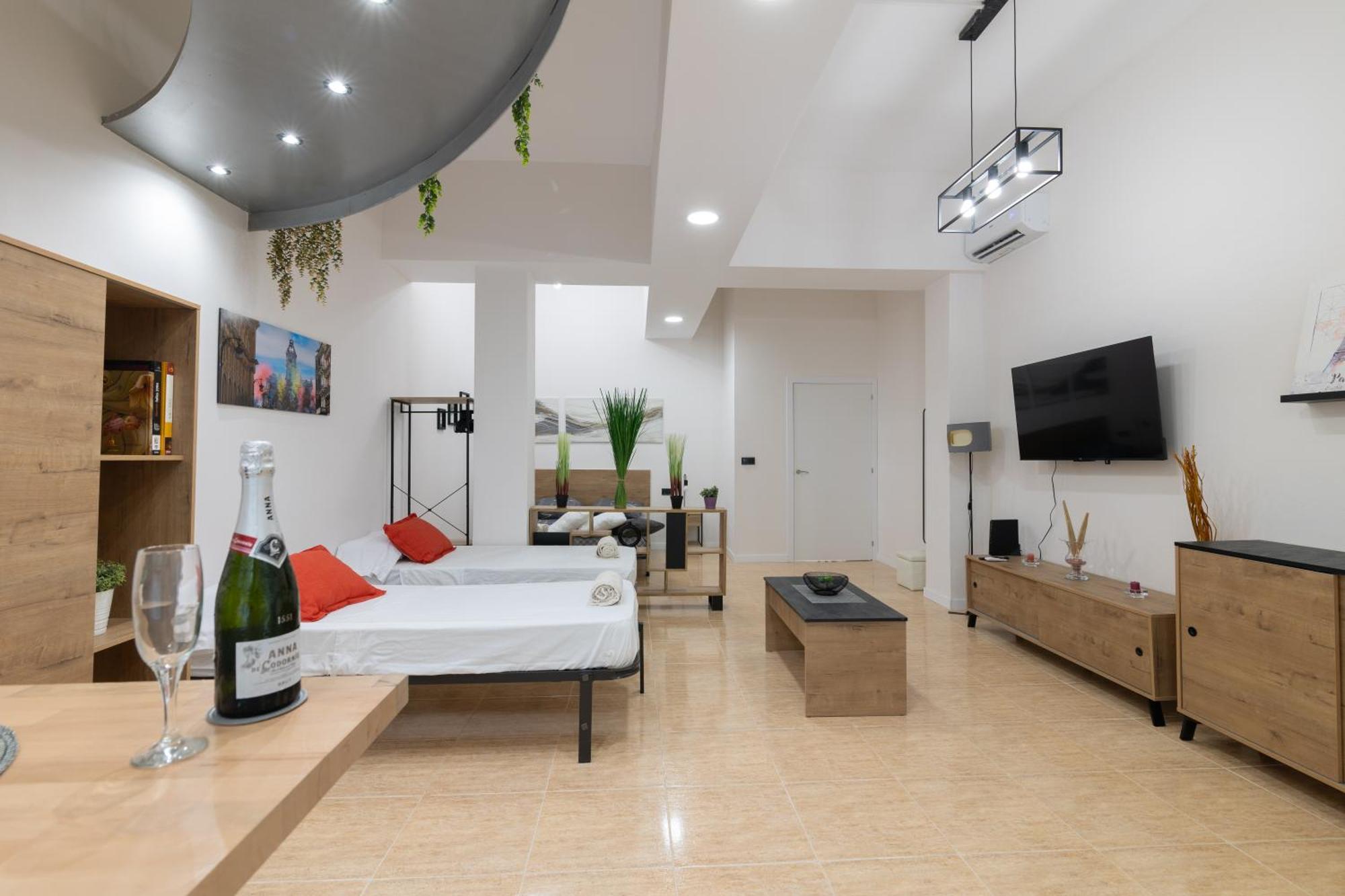 Spacious Oceanografic Flats * Valence